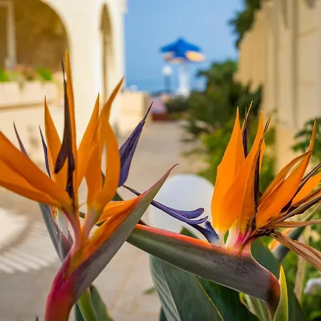 Aparthotel Adonis *
